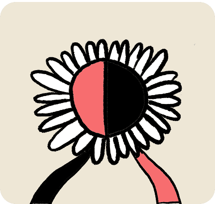 Program